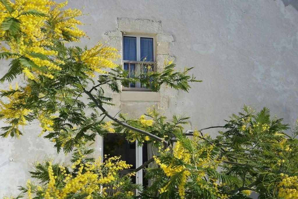 Le Chai Rit Villa Rivedoux-Plage Exterior photo